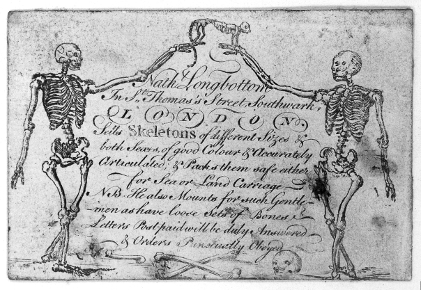 18th-century trade card for the skeleton seller and preparator Nathaniel Longbottom of London. Credit: Wellcome Library, London.